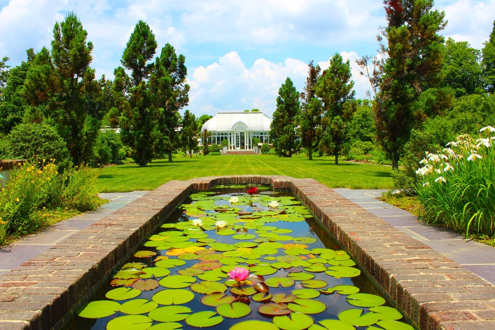 small water trough with lily pads in it. building in background at the reynolda gardens, one of the most popular gardens in north carolina