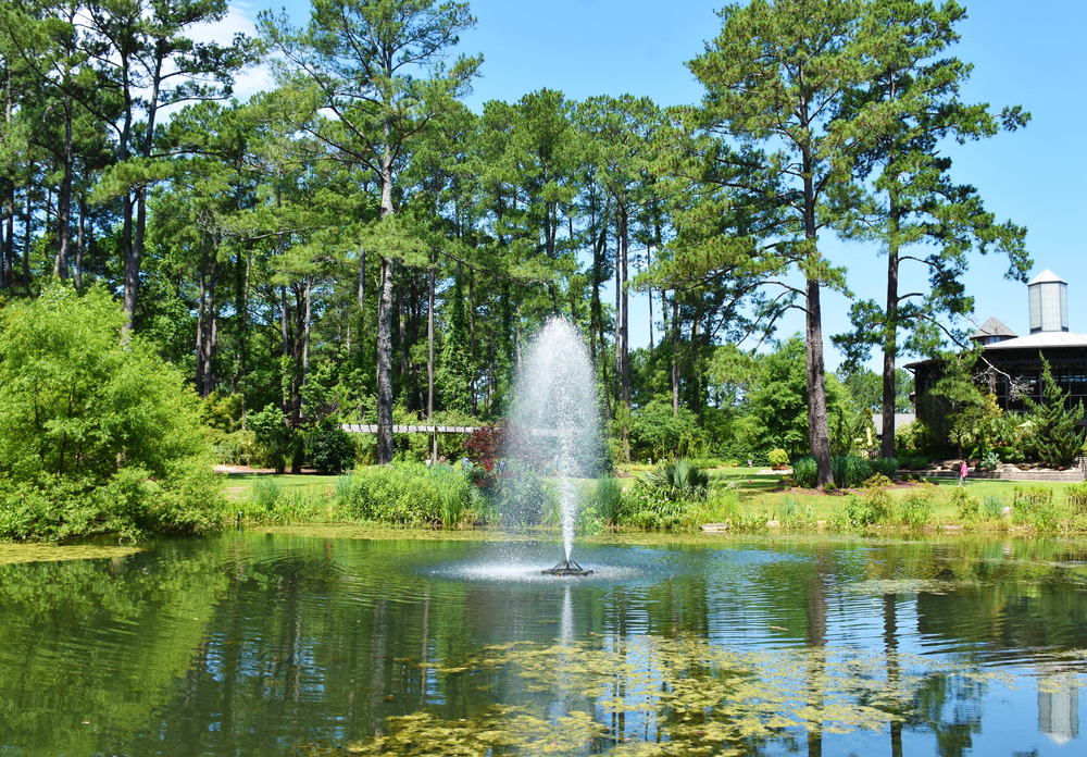 large pond with fountain in middle of the water