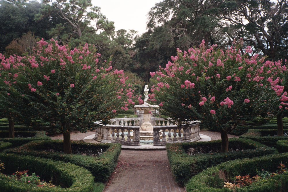 flowering trees next to water feature in middle of bushes and brick walkway in botanical garden