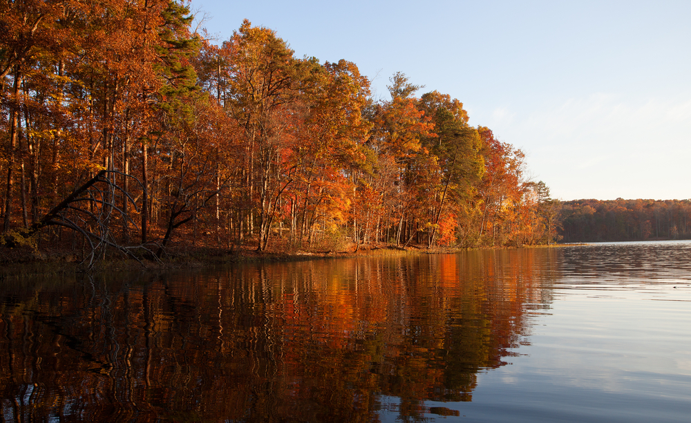 fall time at one the greatest lakes in north carolina, trees on the edge of the lake