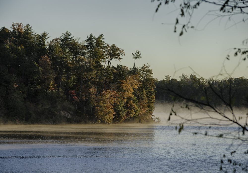 trees at edge of Lake James, one of the best lakes in North Carolina