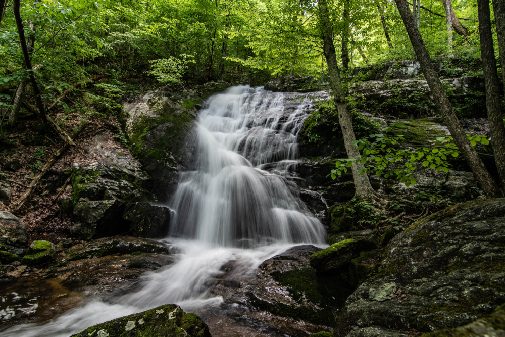 medium size waterfall surrounded by foliage, best waterfalls in Virginia