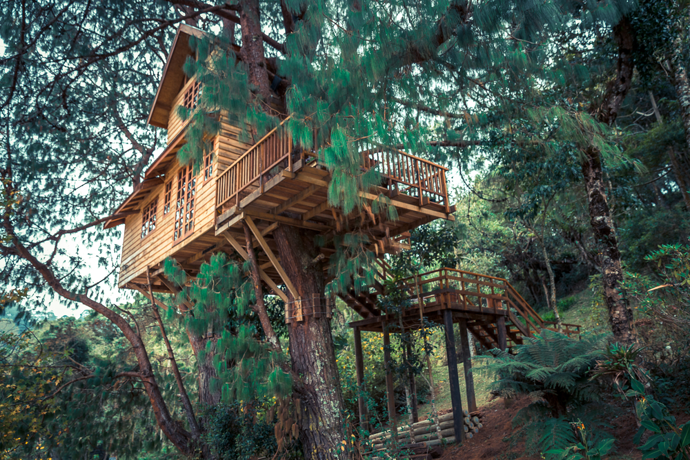 A treehouse with several decks and steps leading up to it. It is surrounded by trees and is built with a tree going straight through it. 