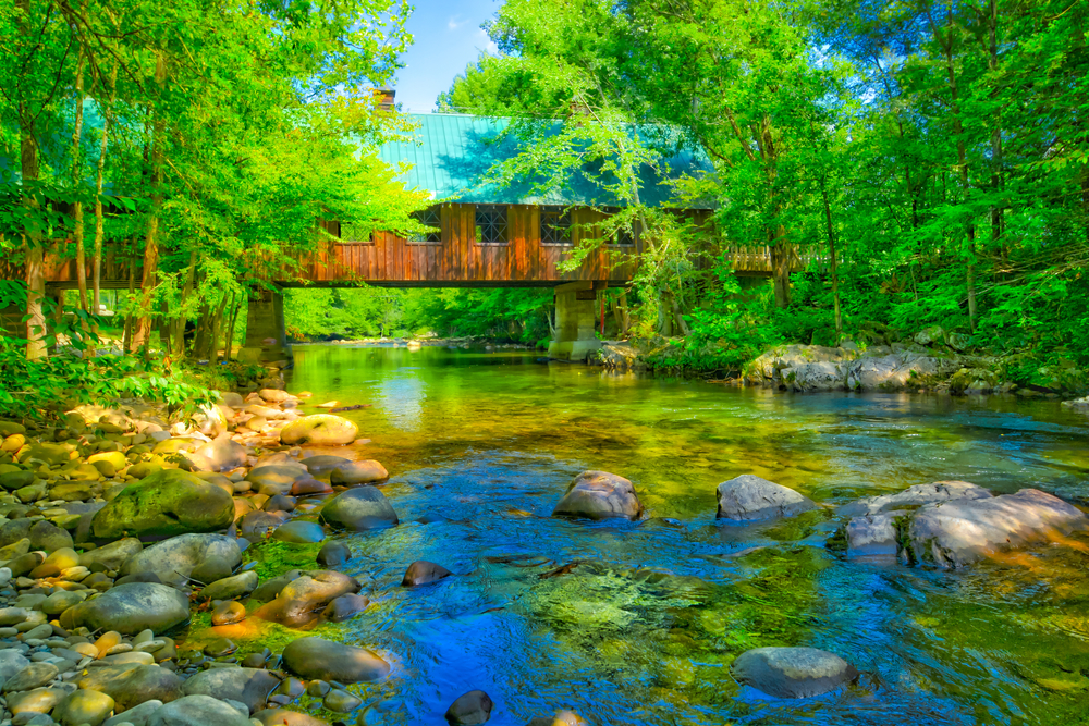 View from the rocky river, looking up at Emert's Cove Covered Bridge surrounded by green trees,