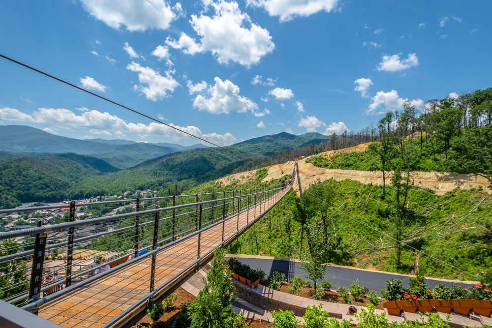 The SkyBridge stretching across a road with mountain views.