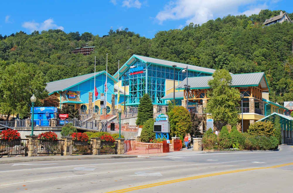 Looking across the road at the blue and wood building of Ripley's Aquarium Of The Smokies.