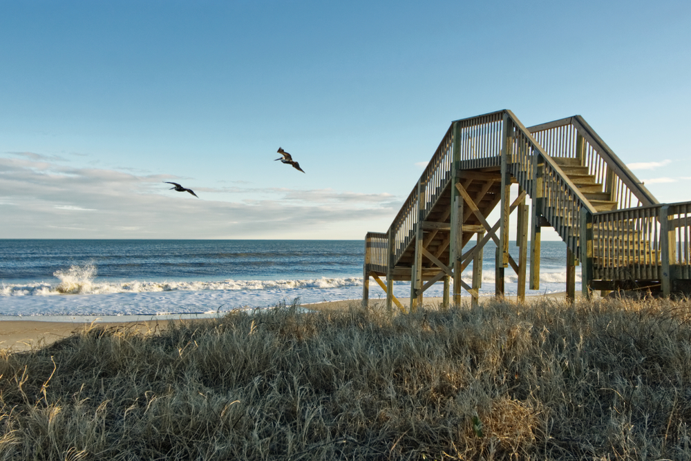Shore view with flying birds at Topsail beach in North Carolina. 
