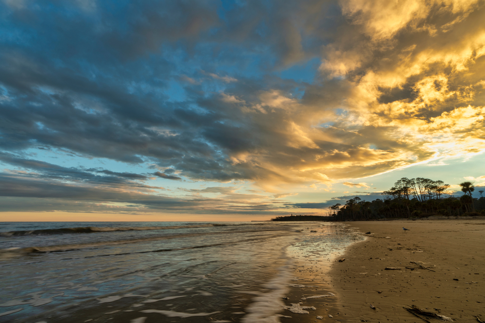 The increadible beach of Hunting Island State Park at sunset showing a large expanse of sand with trees in the background. 