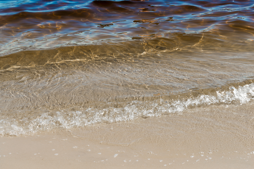 gentle waves breaking on the river inland beach of Butterbean Beach. 