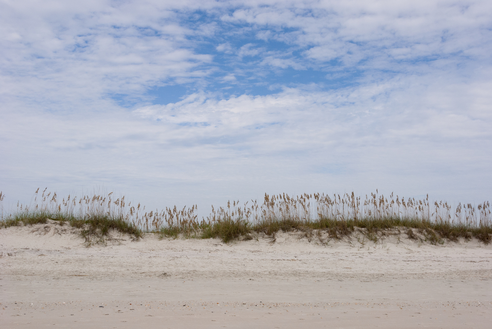 A beach in South Carolina with sand dunes.