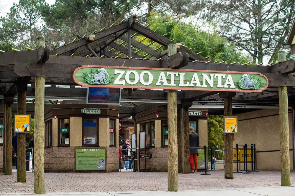 The Zoo Atlanta entrance is bold and green, and this location is perfect for a date night in Atlanta.