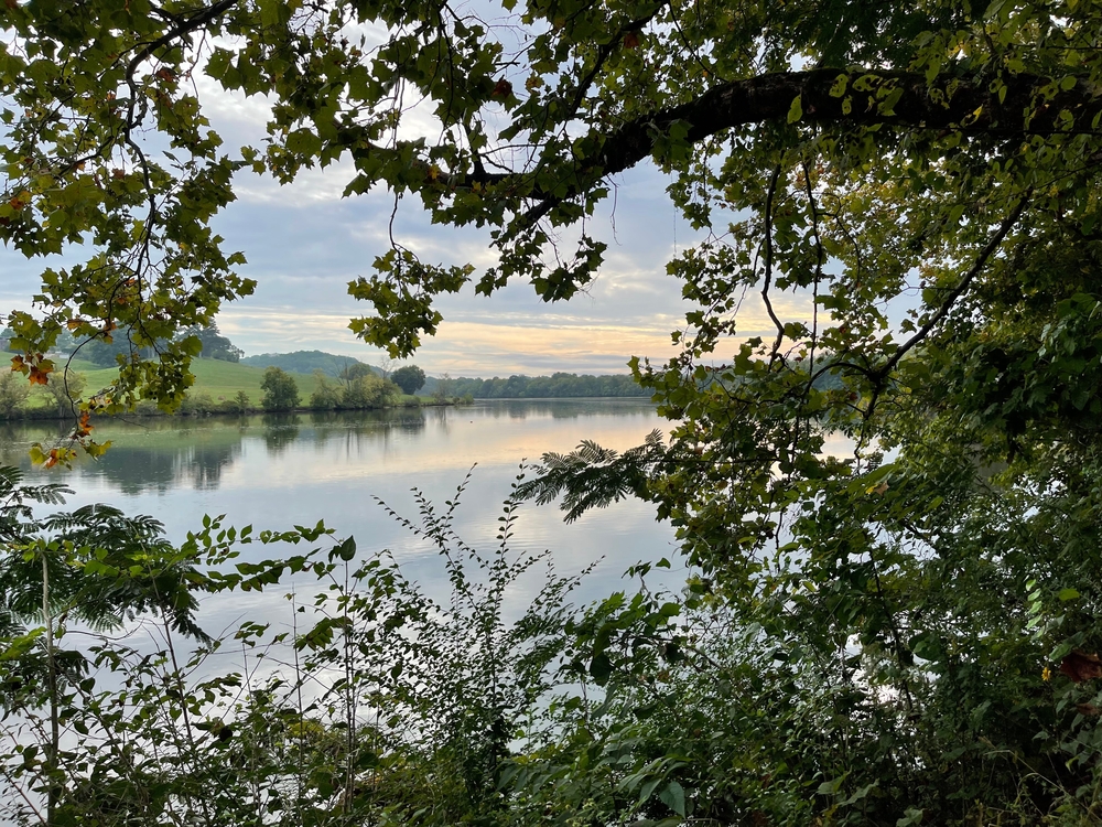 A view of the river at the Ijams Nature Center, one of the best things to do in Knoxville. The view is surrounded by trees and you can see trees and fields on the other side of the river. 