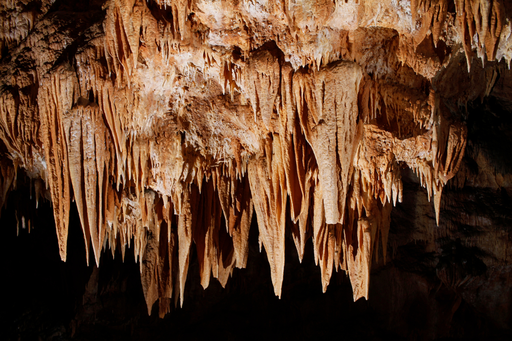 Photo of stalactites in Forbidden Cavern, one of the best things to do in Sevierville TN.