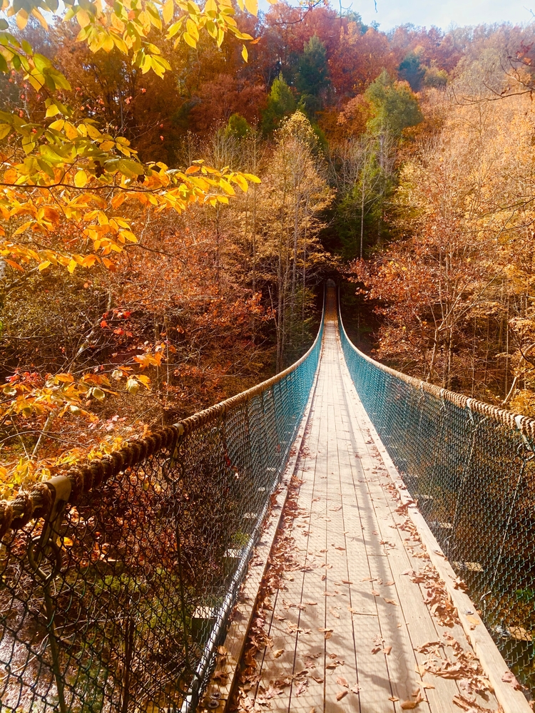 Photo of the swinging bridge at Foxfire Mountain Adventure Park, one of the best things to do in Sevierville.