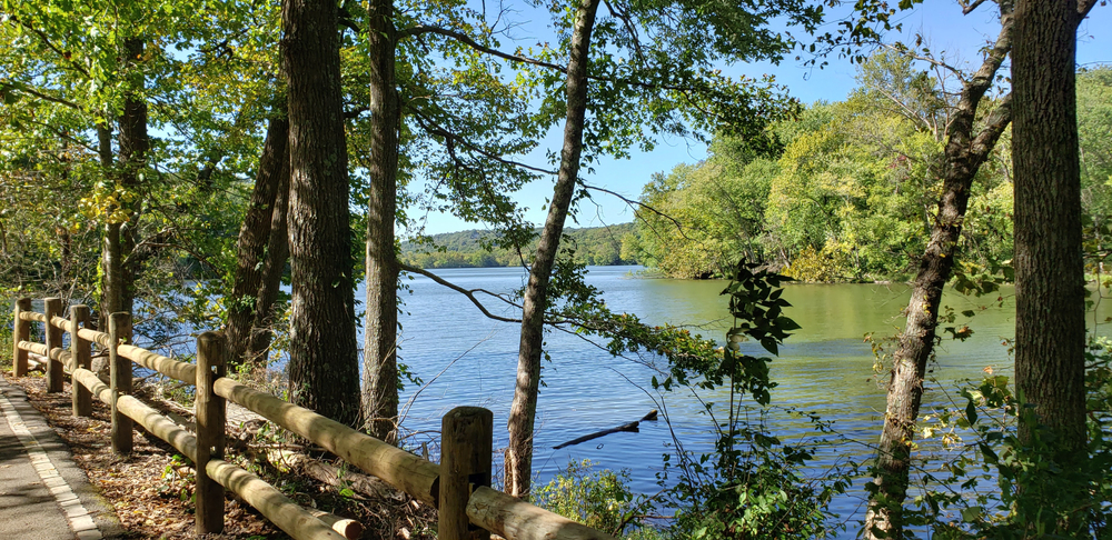 walkway next to lake and trees