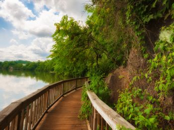 a trail one of the best things to do in knoxville Tennessee