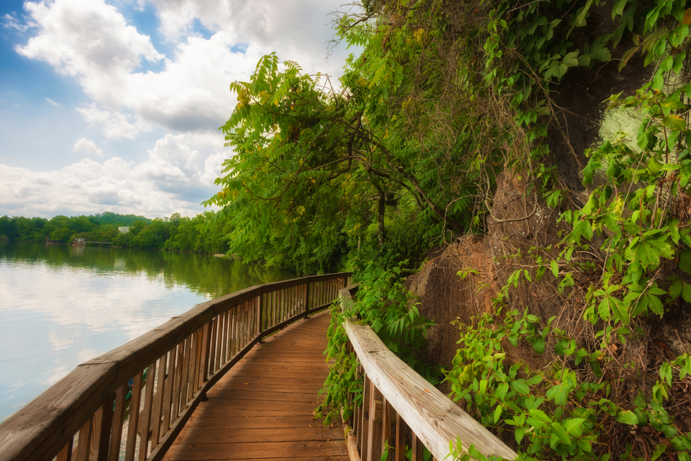 A wooden boardwalk on the side of a river. You can see trees along the river and right next to the wooden boardwalk. 