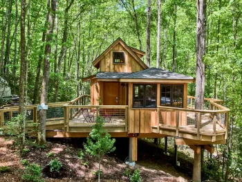 maple treehouse in tennessee surrounded by green trees