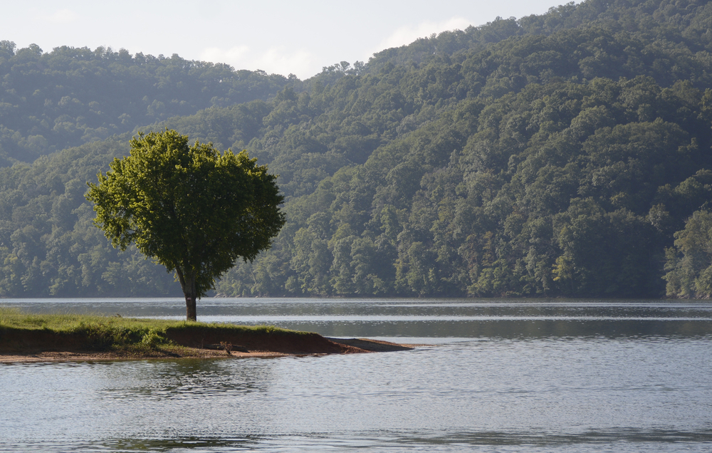 A lone tree sits on a spit of sand in the middle of Cherokee Lake. In the background are the foothills of the Clinch Mountains, blanketed in thick, green forest.