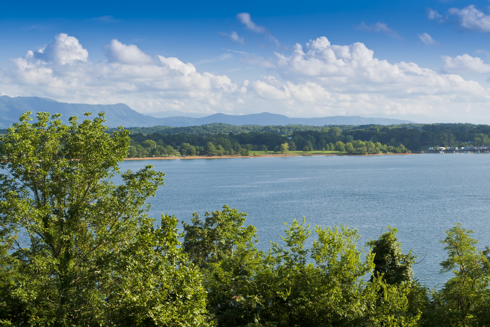 Looking over the tops of trees, we see the shores of Douglas Lake, one of the best beaches in Tennessee. The blue of the water matches that of the sky. The sand marking the beach area is set in front of a grassy area.