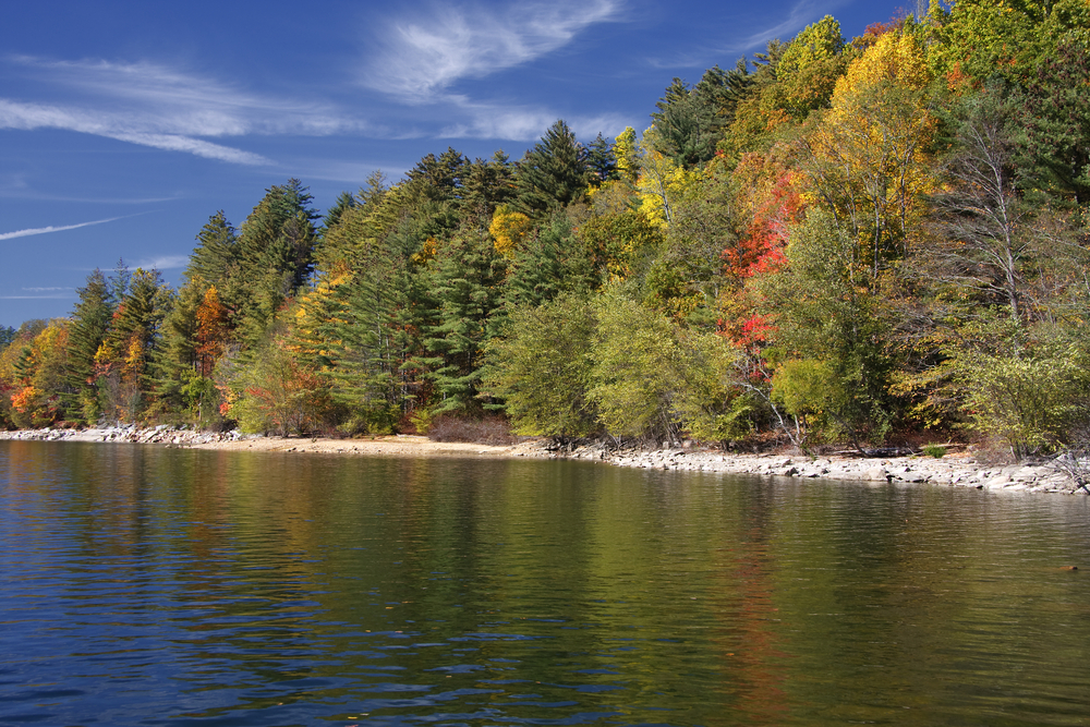 Lake Glenville, host of the Pines Recreation Area, one of the best beaches in Tennessee, is a laid back environment. Pictured is an area of the shoreline with some of Glenville's more rocky beaches. This photo was taken in the fall, and some of the trees along the shoreline are red and yellow.