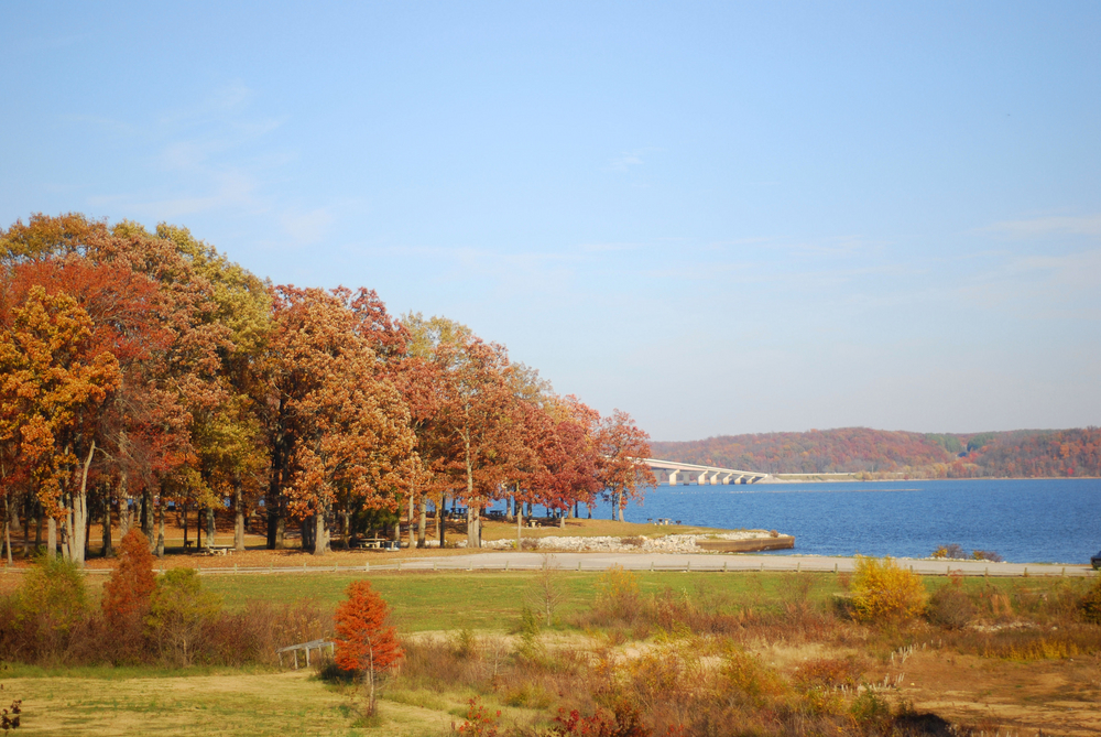 Paris Landing is one of the best beaches on Kentucky Lake. A grassy area goes down to the water's edge. The trees are showing their fall foliage against a bridge that can be seen in the background.