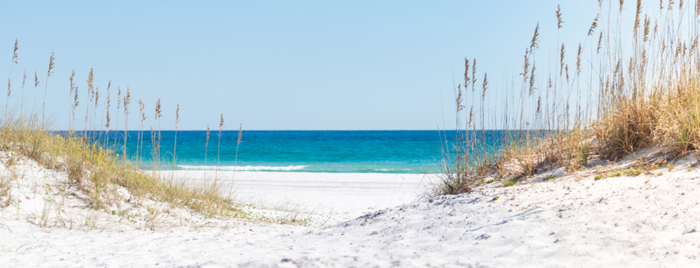 Pensacola, the closest ocean beach to Tennessee, is covered in soft, white sand. Seagrass shoots out of small dunes, framing a view of the bright blue waters of the ocean.