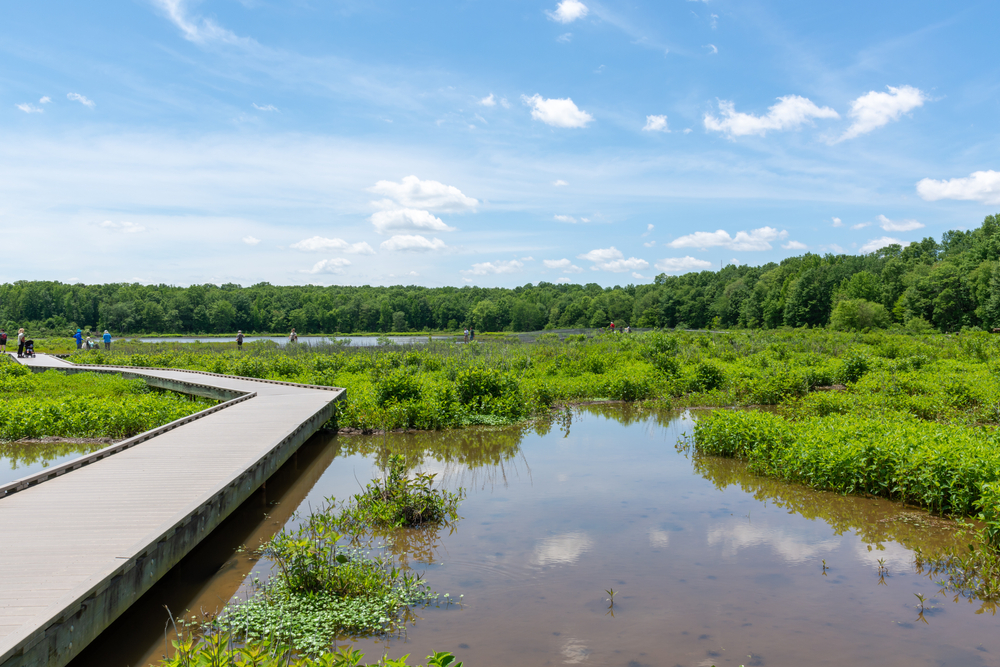 best time to visit alexandria va