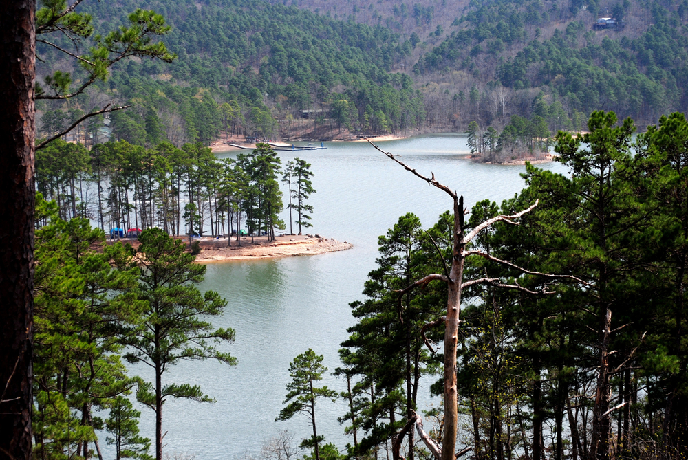Clear water and pine trees at Lake Ouachita. One of the best state parks in Arkansas