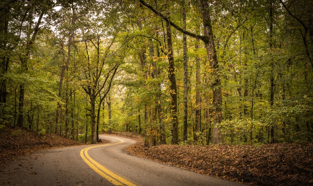 A winding road through towering trees at Tombigbee State Park, one of the most beautiful State Parks in Mississippi