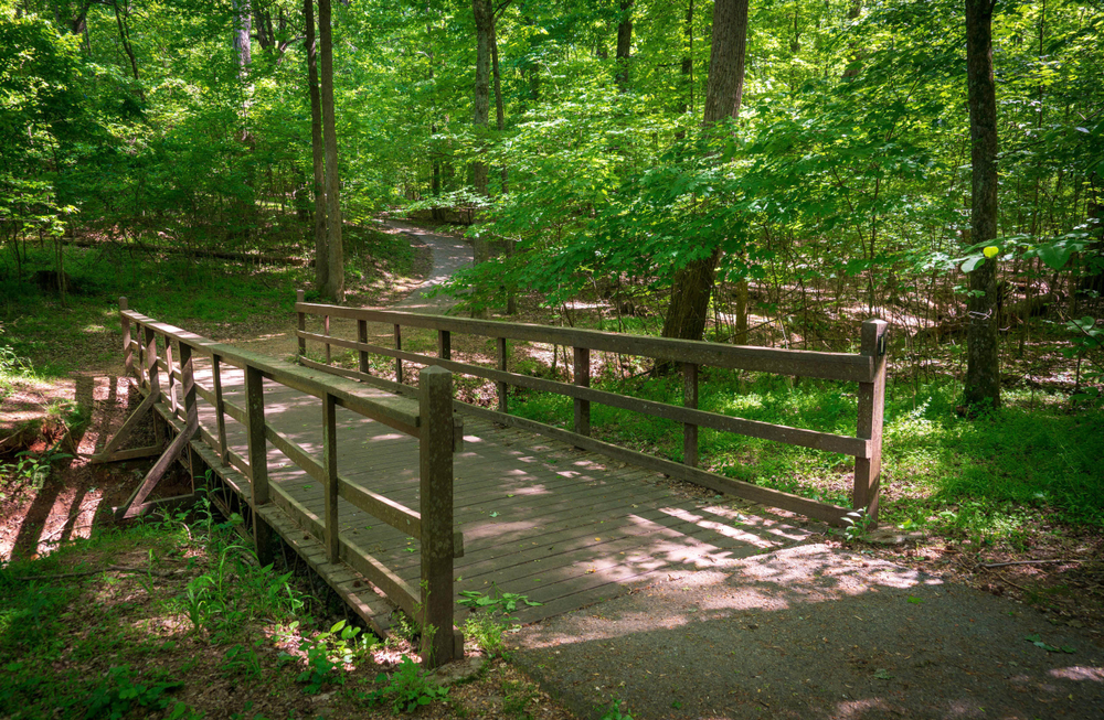 Photo shows an outdoor thing to do in Greensboro, the Guilford Courthouse National Military Park, with a wooden bridge crossing a dry creek bed.