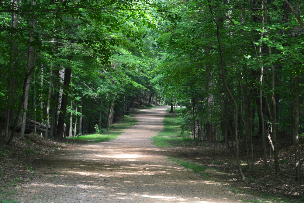 A dirt and gravel pathway leads the way through overhanging leafy green trees. The path is shaded by the trees.