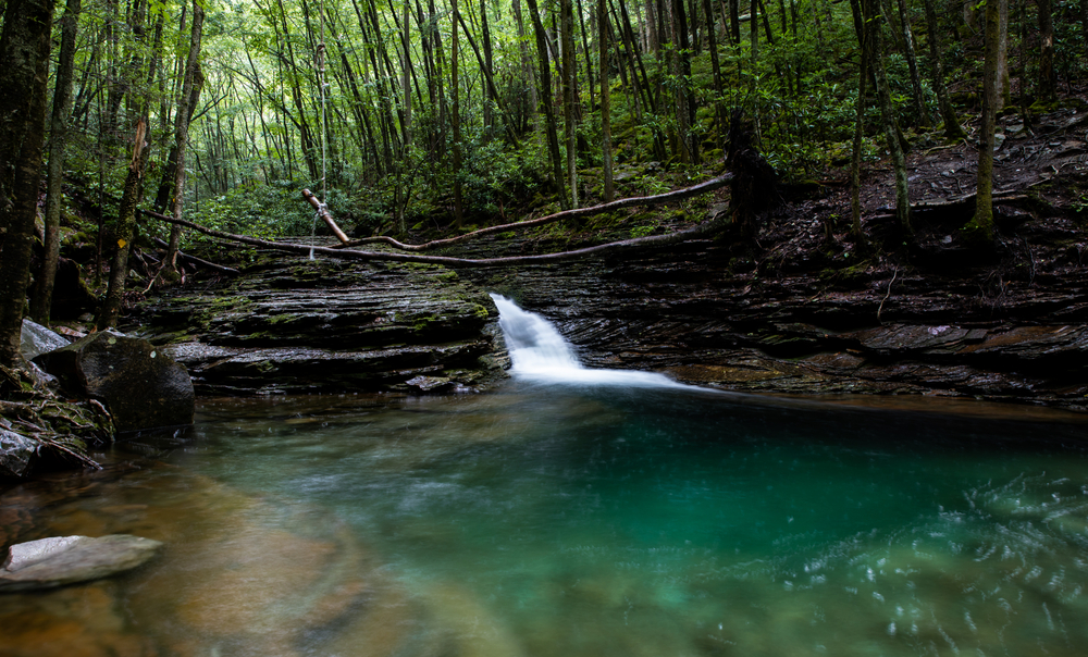 The Devil's Bathtub, a natural swimming hold in Virginia. It is surrounded by trees. One of the best hidden gems in Virginia. 