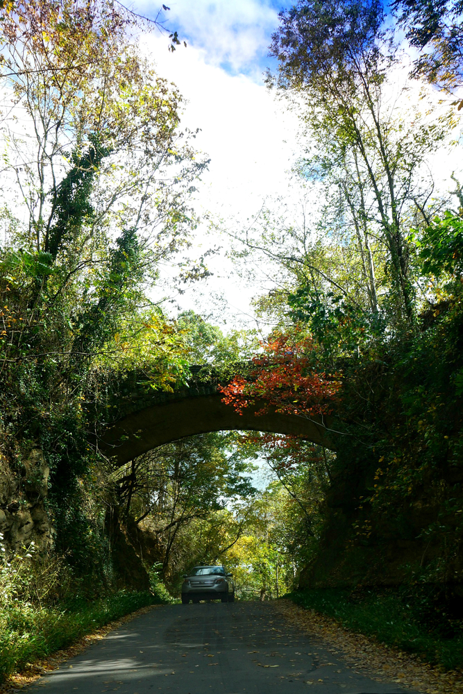 stone bridge on skinny road in woods