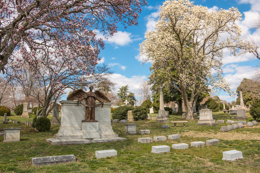 Tombstones in the Hollywood Cemetery. There are trees blooming and the sky is bright blue. One of the best hidden gems in Virginia. 