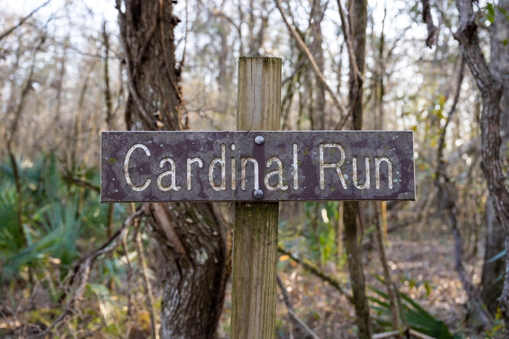 Sign of Cardinal Run, a hiking trail at Lake Faussee, a state park in Louisiana.