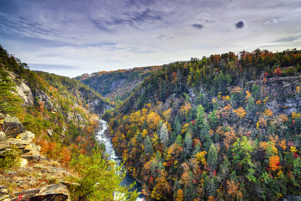 Looking down into the Tallulah Gorge in the fall. You can see the river running through the gorge, rocky cliffs, and lots of trees. 