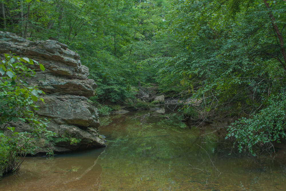 Alum Springs Park in Fredericksburg Va