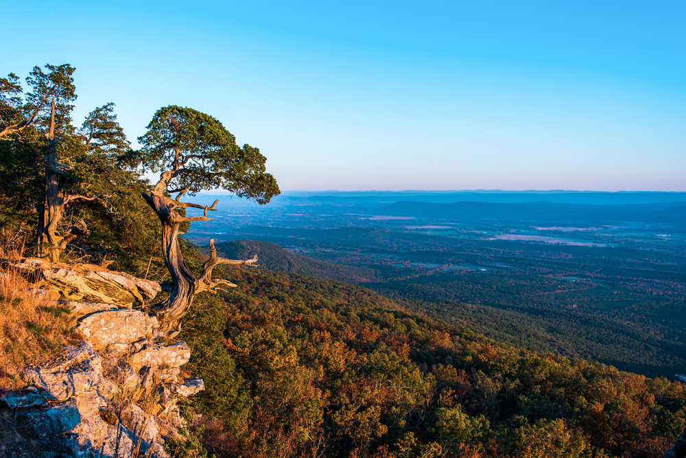 The view from the top of a mountain, a darkening blue sky over green and gold forest. 