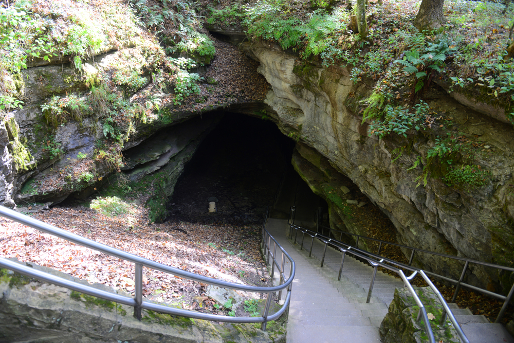 A defending entrance into with stairs and a handrail into a dark cave. Natural rocks surround Mammoth Cave, the state park one of the best things to do near Bowling Green. 