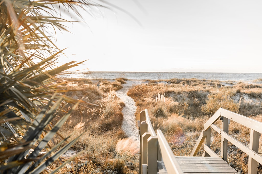 View of a path through the beautiful golden dunes covered in beach grass. The trail leads to the Atlantic Ocean. 