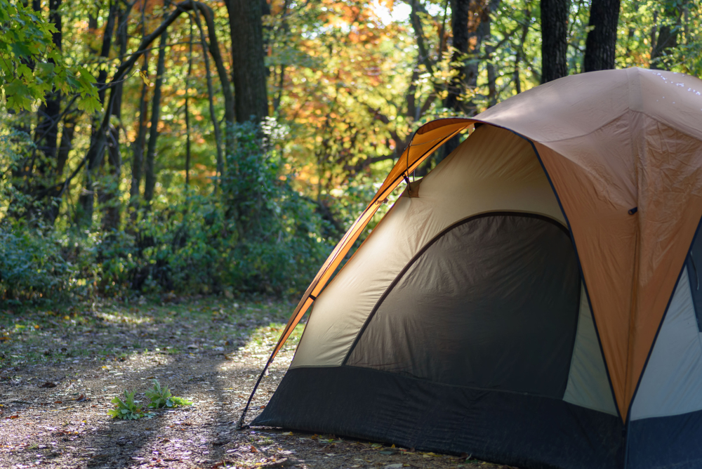 orange tent in the woods at davidson river campground