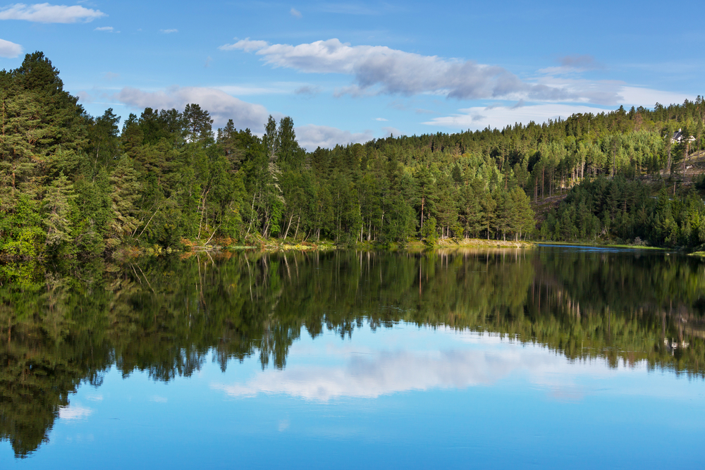 lake powhatan campground with trees for camping near asheville