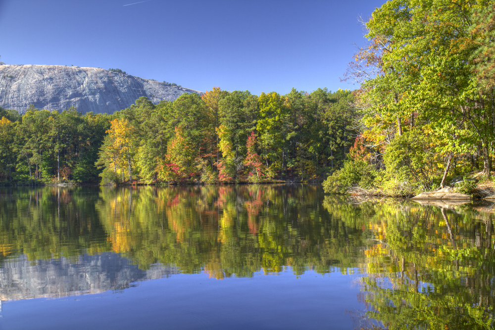 green trees reflected in smooth water on lakes in georgia