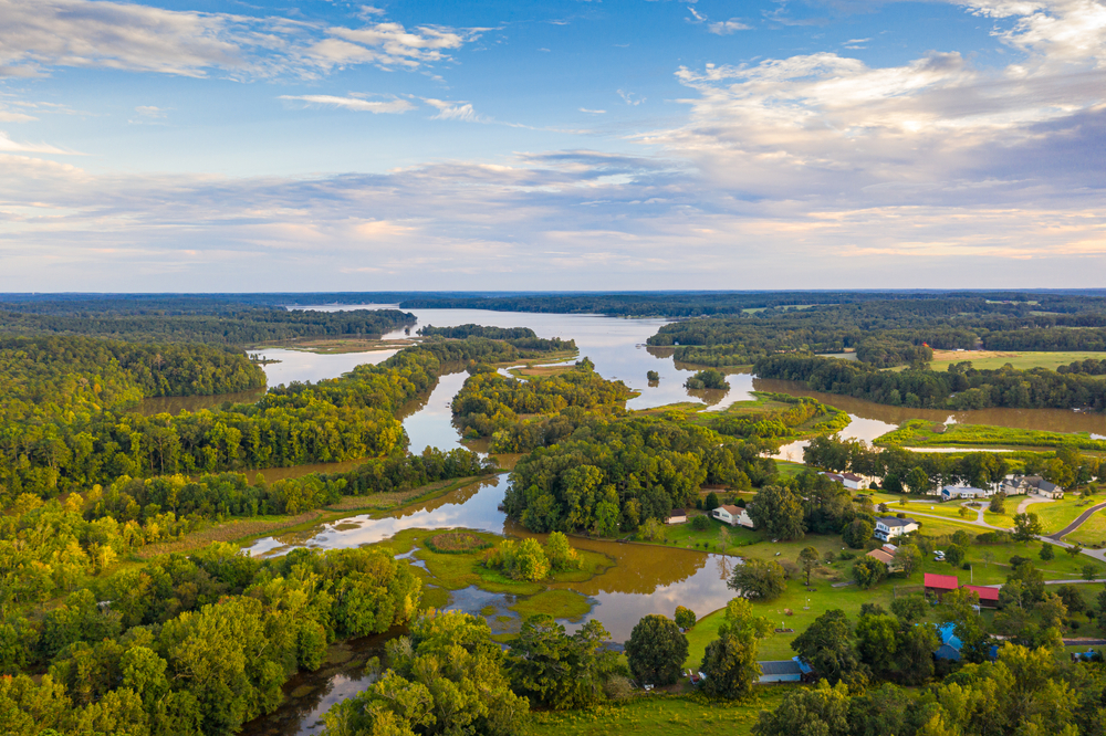 waterways and patches of green trees and blue skies on lakes in georgia