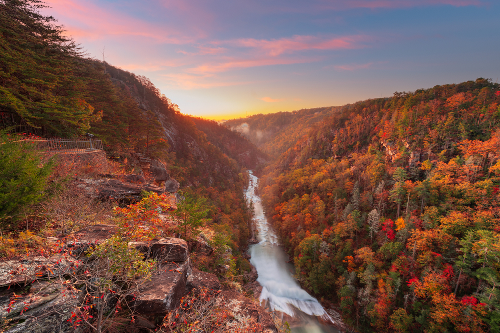 sunset view over fall leaves and the tallulah gorge, a great pick of lakes in georgia