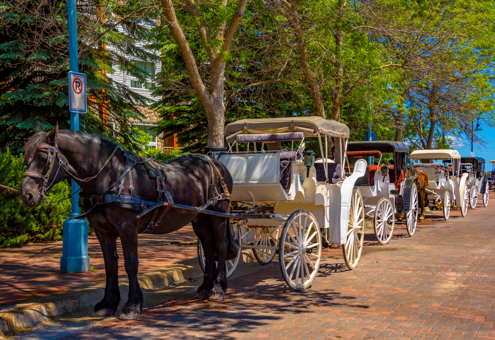 Things to do in downtown Fredericksburg, va
