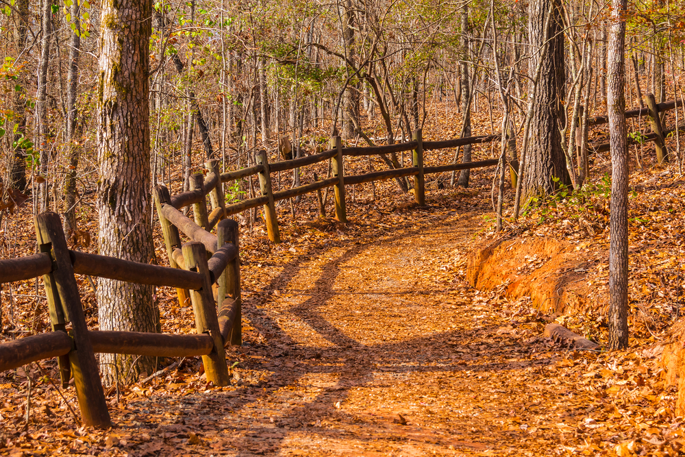 Picture of wooded trail in Providence Canyon State Park in Georgia.
