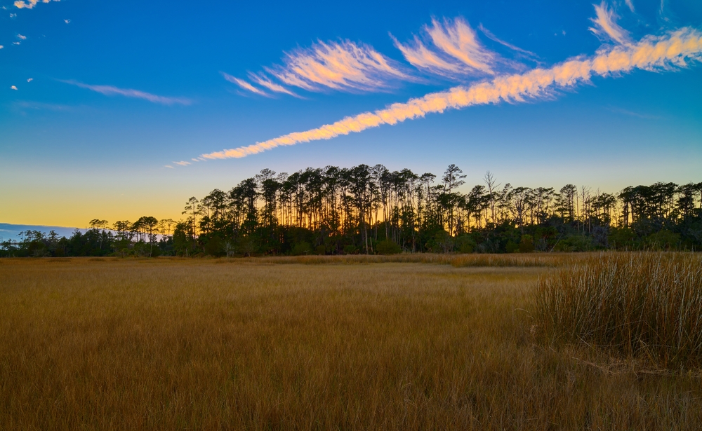Grassy field with blue skies at sunset in Skidaway Island State Park in Georgia. 