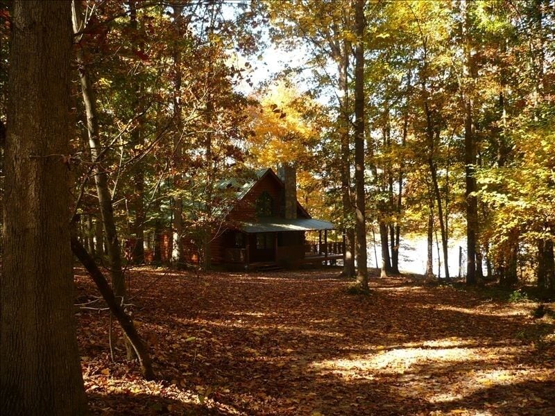 A cabin in the background with autumn leaves on the floor of a forest. 